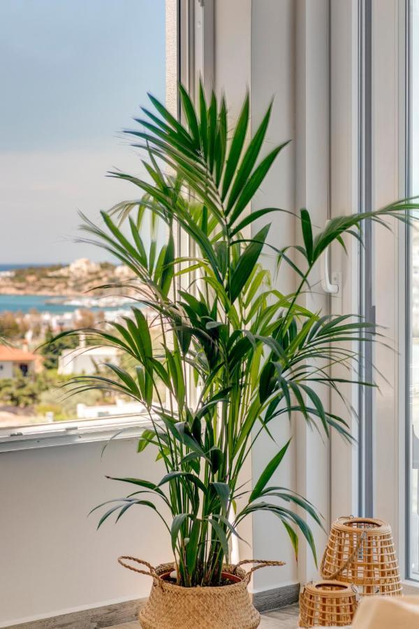 Villa Mare Syros 피니카스 외부 사진